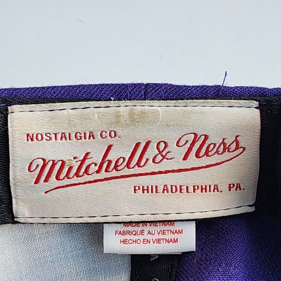Toronto Raptors Mitchell & Ness Purple Hardwood Classics Earthquake Snapback Hat - Picture 8 of 15